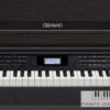 Casio Celviano AP-650 digitale piano voor beginners