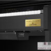 Casio Celviano AP-710 mat zwarte digitale piano van Casio