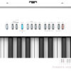 Roland FP-30X wit keyboard Roland detail met 88 toetsen