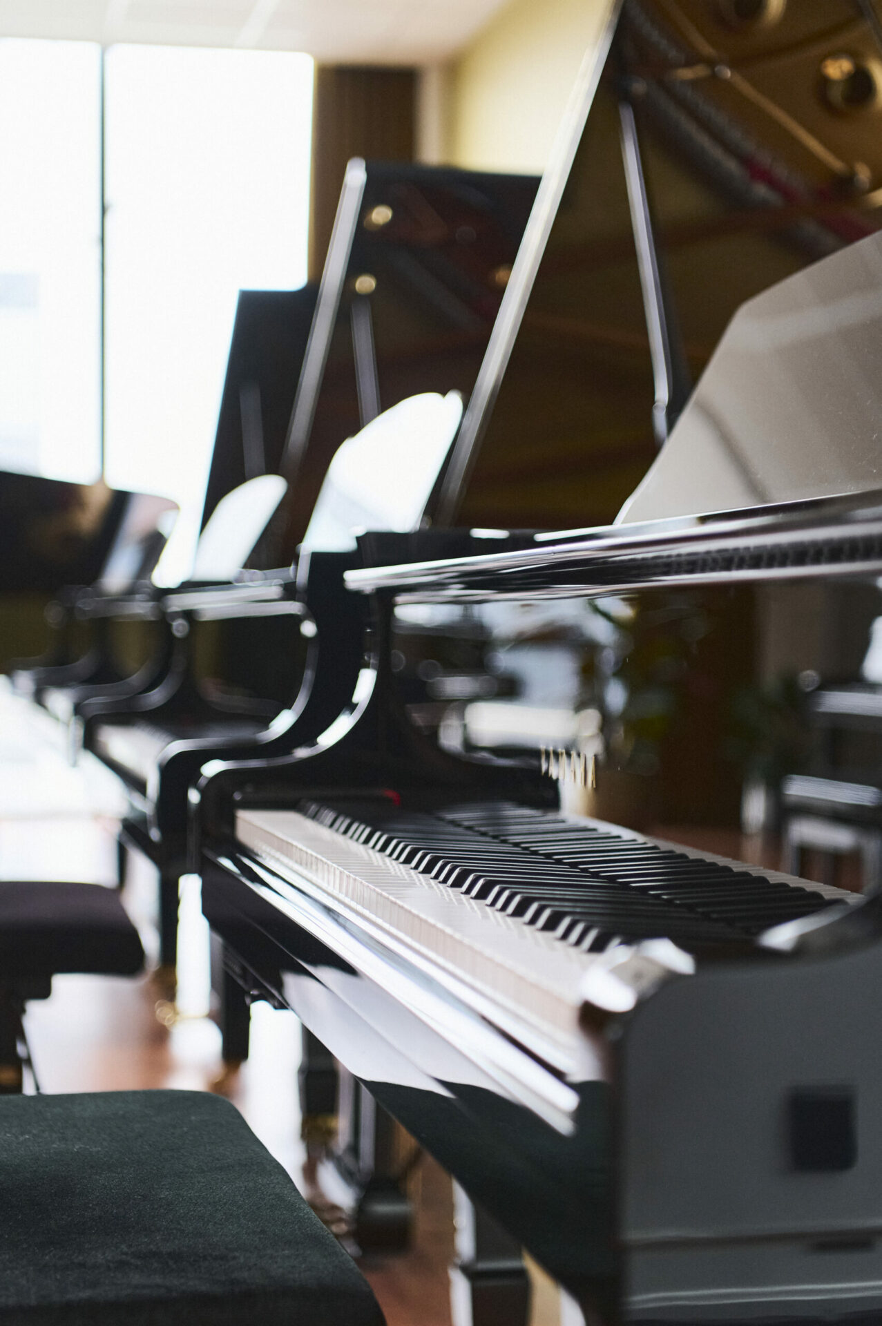 horizon Voorganger Tarief Waarom kiezen voor een akoestische (vleugel)piano? | Piano's Verhulst
