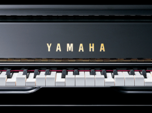 Toonzaal Piano's Verhulst - zelfspelende piano kopen